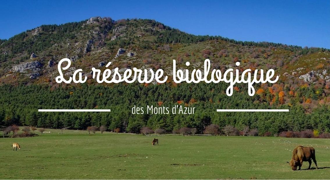 Montagne, Mer Et Verdon Seranon Экстерьер фото